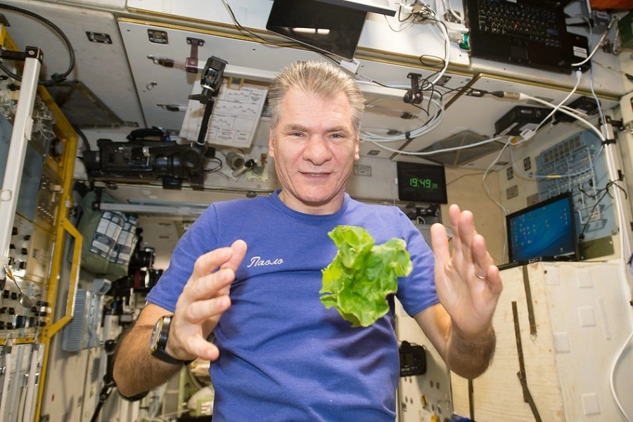 mature male astronaut in space station with lettuce floating in front of him
